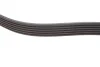 <strong>Пасок велоклиновий FEBI BILSTEIN 28951 (фото 3)</strong>