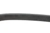 <strong>Пас поліклиновий VAG FEBI BILSTEIN 28970 (фото 2)</strong>
