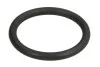 <strong>Ущільнююче кільце FEBI BILSTEIN 29752 (фото 1)</strong>