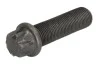<strong>Болт для кріплення гальмівного диска FEBI BILSTEIN 32206 (фото 1)</strong>