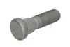 <strong>Шпилька колесная FEBI BILSTEIN 32796 (фото 1)</strong>