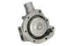 <strong>Водяний насос FEBI BILSTEIN 35030 (фото 1)</strong>