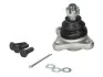 <strong>Кульова опора FEBI BILSTEIN 41250 (фото 1)</strong>