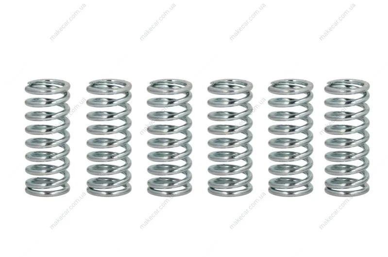 <strong>Пружины сцепления FERODO FSS0114 (фото 1)</strong>
