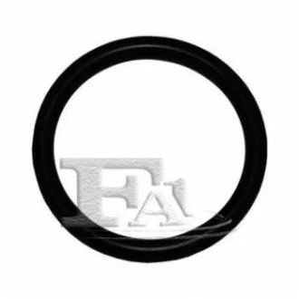 Кольцо резиновое для FA1 076.360.100 фото товара