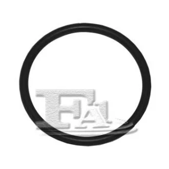Кільце для FA1 076.378.005 фото товару