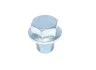 <strong>Болт поддона с шестигранной головкой FA1 256.852.011 (фото 2)</strong>