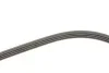 <strong>Ремінь генератора поліклиновий GATES 4PK1070 (фото 3)</strong>