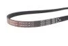 <strong>Ремінь генератора 4PK1102 Ducato/Jumper/Boxer/Daily 3.0HDi 06- GATES 4PK1102 SF (фото 4)</strong>