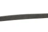 <strong>Ремінь генератора Scudo/Expert/Berlingo 1.9D/TD 96> (PS,-AC) GATES 6PK1113 (фото 2)</strong>