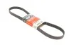 <strong>Ремінь генератора Scudo/Expert/Berlingo 1.9D/TD 96> (PS,-AC) GATES 6PK1113 (фото 4)</strong>