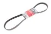 <strong>Ремінь генератора Jumper/Boxer/Ducato 2.0/2.2 HDi 02- GATES 6PK1173 (фото 2)</strong>