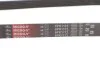 <strong>Ремінь генератора Jumper/Boxer/Ducato 2.0/2.2 HDi 02- GATES 6PK1173 (фото 4)</strong>