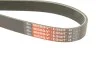 <strong>Ремінь генератора поліклиновий GATES 6PK1199EST (фото 5)</strong>