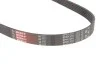 <strong>Ремінь генератора 1.3D Multijet/1.3JTD GATES 6PK1310 (фото 2)</strong>