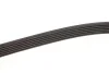 <strong>Ремінь генератора 1.3D Multijet/1.3JTD GATES 6PK1310 (фото 3)</strong>