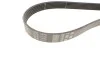 <strong>Ремінь генератора Ducato 2.0JTD 01> (ALT, AC) GATES 6PK1470 (фото 3)</strong>