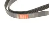 <strong>Ремінь генератора Ford Focus 1.8 TDCi 04-12 GATES 6PK1520 (фото 4)</strong>
