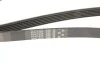 <strong>Ремінь генератора Ford Focus 1.8 TDCi 04-12 GATES 6PK1520 (фото 5)</strong>