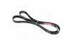 <strong>Поліклиновий ремінь GATES 6PK1600XS (фото 3)</strong>