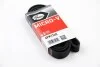 <strong>Ремінь генератора Jumpy 1.9D/2.0HDI -07 (+AC) GATES 6PK1740 (фото 1)</strong>
