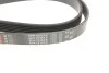 <strong>Ремінь поліклиновий GATES 6PK1830XS (фото 4)</strong>