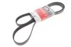<strong>Ремінь генератора Master/Movano 2.5 dCi 03> (+AC) GATES 7PK1793 (фото 2)</strong>