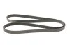 <strong>Ремінь генератора Land Rover Range Rover 3.9-4.6 94-02/Toyota Land Cruiser 4.0 03-09 GATES 7PK2120 (фото 2)</strong>