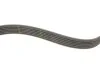 <strong>Роликовий модуль натягувача ременя (ролик, ремінь) GATES K016PK1025 (фото 6)</strong>