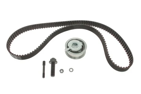 Комплект (ремінь+ролики) для SsangYong, Fiat, Hyundai, Volkswagen, BMW GATES K025223XS фото товару