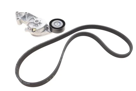 Комплект (ремінь+ролики) для Ford, Volkswagen, Seat, Audi, Skoda GATES K026DPK1195 фото товару