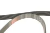 <strong>Роликовий модуль натягувача ременя (ролик, ремінь) GATES K066PK1195 (фото 4)</strong>