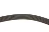 <strong>Роликовий модуль натягувача ременя (ролик, ремінь) GATES K166PK1640 (фото 10)</strong>
