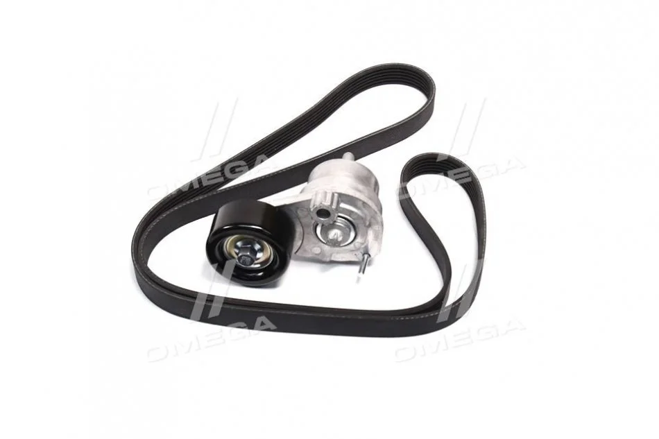 <strong>Роликовый модуль натяжителя ремня (ролик, ремень) GATES K276PK1555 (фото 1)</strong>