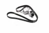 <strong>Роликовый модуль натяжителя ремня (ролик, ремень) GATES K276PK1555 (фото 4)</strong>