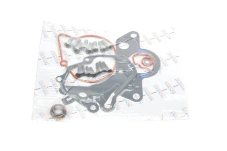 Ремкомплект насосу вакуумного для Skoda, Volkswagen, Audi, Seat GAZO GZ-F1013 фото товару