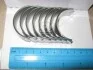 <strong>Вкладиші Glyco 01-4148/4 0.25MM (фото 1)</strong>