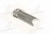 <strong>Вкладыши коренные Glyco H023/7 STD (фото 1)</strong>