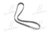 <strong>Ремінь ГРМ CRUZE/T300/TR GM 24422964 (фото 2)</strong>