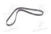 <strong>Ремінь ГРМ CRUZE/T300/TR GM 24422964 (фото 3)</strong>