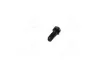 <strong>Болт (M7X1X23MM) зчеплення GM 94500773 (фото 2)</strong>