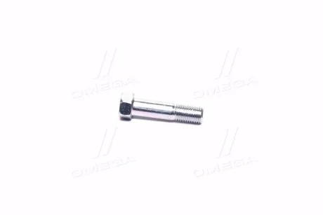 Болт Матиз/Спарк крепления шаровой опоры к кулаку 10х1,25х40 для GM 94500853 фото товара