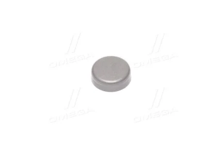 Заглушка Ланос 1,5/Авео ГБЦ (D=18мм) (кратно 10) для GM 94580062 фото товара