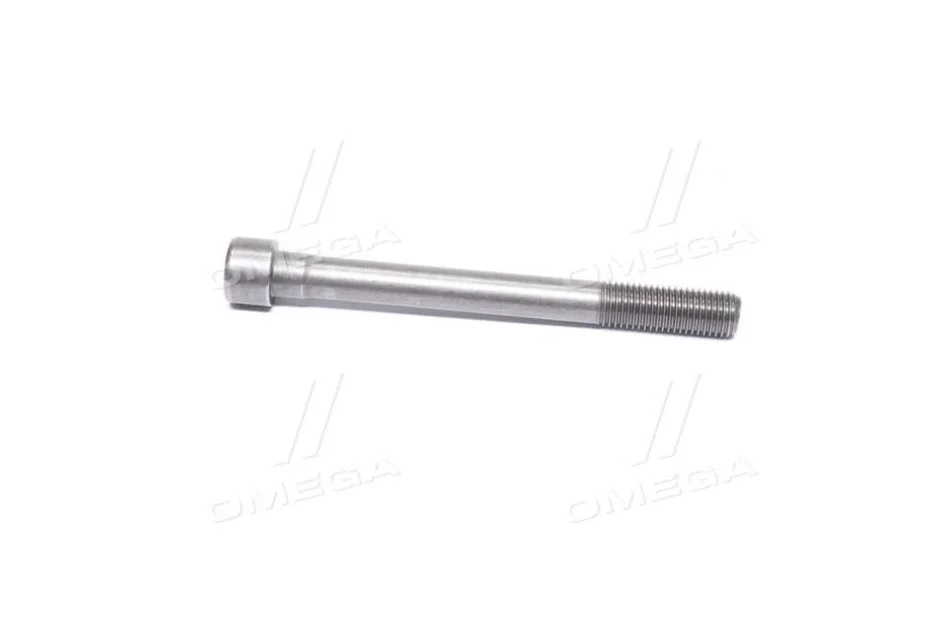 <strong>Болт головки блоку циліндрів GM 96416362 (фото 1)</strong>