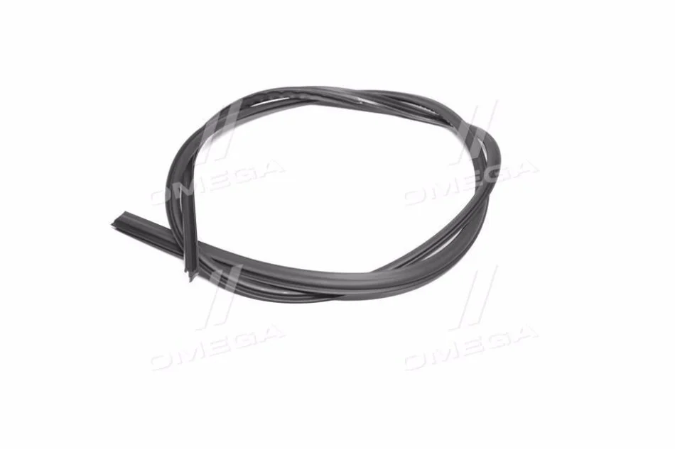 <strong>Молдинг лобового скла GM 96543951 (фото 1)</strong>