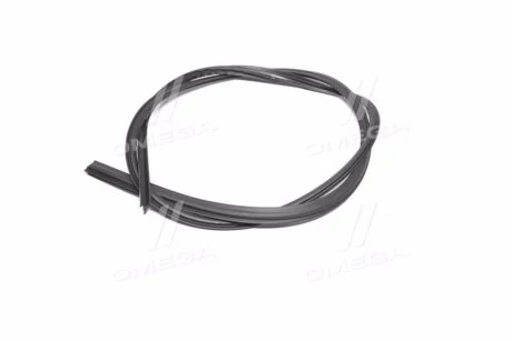 Молдинг лобового скла для GM 96543951 фото товару