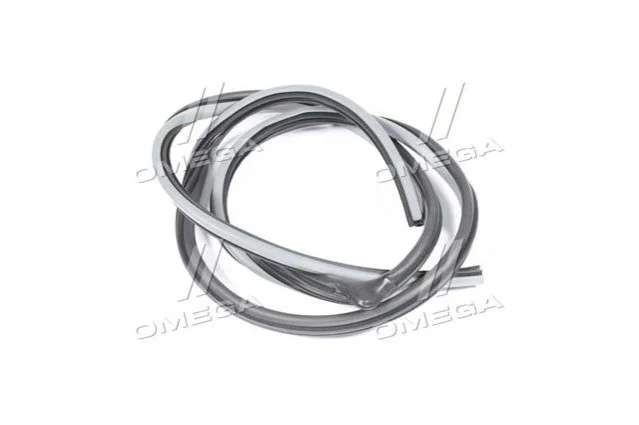 <strong>Ущільнювач дверей передній п GM 96615178 (фото 1)</strong>