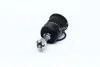 <strong>Опора кульова HONDA ACCORD нижн. (вир-во) GMB 0105-0210 (фото 2)</strong>