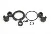 <strong>Ремкомплект супорта задн. Master/Movano 10- 60mm Brembo Goodrem RK6188.0 (фото 2)</strong>