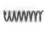 <strong>Пружина передняя MB E200/290 (W210) Avantgarde Goodrem RP0067 (фото 1)</strong>